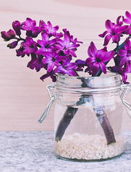 平台在线ddos压力测试