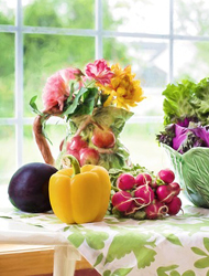 【试用版】评估的网页攻击器教程