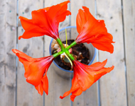 ddos服务器攻击手段